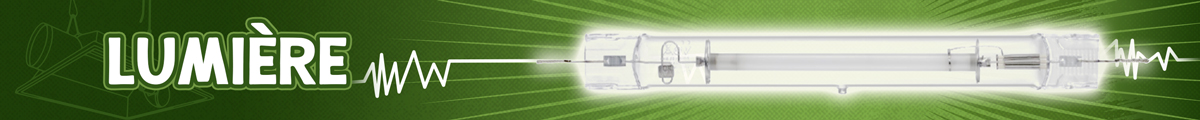 Lumière