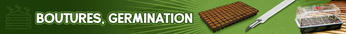 Bouturage, Germination et Semis